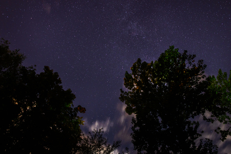 Silhouette of the forest in the night sky.の写真素材