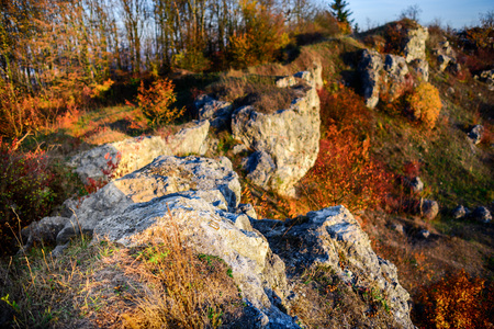 Rocky landscape during autumn. Beautiful landscape with stone, forest and fog. Sunset in czech national park. Misty evening autumn landscape. Landscape with rock hillsの写真素材