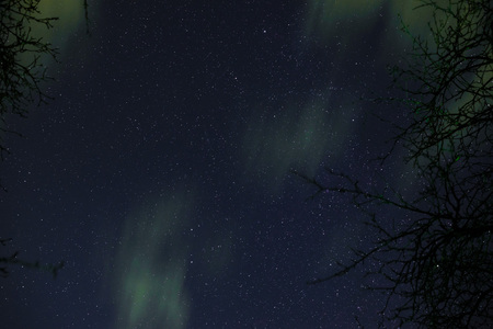 Clouds passing in the moon light by over a forest and on a night sky full of stars.の写真素材