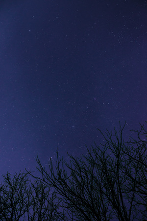 Clouds passing in the moon light by over a forest and on a night sky full of stars.の写真素材