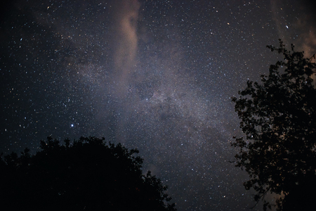 A clear night sky with a hill and trees in the foreground.の写真素材
