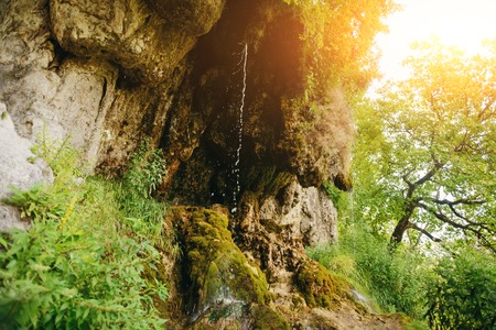 Beautiful landscape with small waterfalls in dense forest.の写真素材