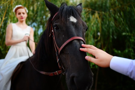 Portrait of a bride on horseback on the background of a summer sunset.の写真素材