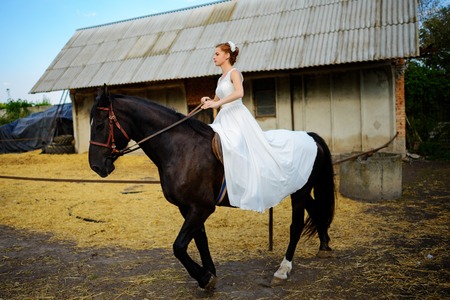Portrait of a bride on horseback on the background of a summer sunset.の写真素材