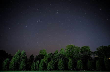 Blue dark night sky with many stars above field of trees. Milkyway cosmos backgroundの写真素材