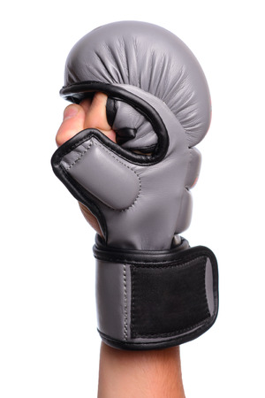 one Gray For free fight mitts on a white background.の写真素材