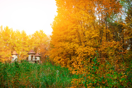 An old ruined and empty castle in the middle of the autumn forest.の写真素材