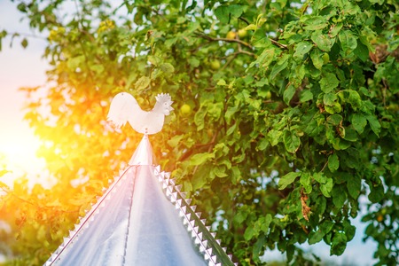White rooster weather vane show the wind direction.の写真素材
