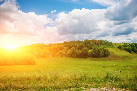 Green grass field on small hills and blue sky with clouds.の写真素材
