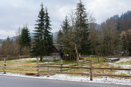 a View on the carpathian pinewood house.の写真素材
