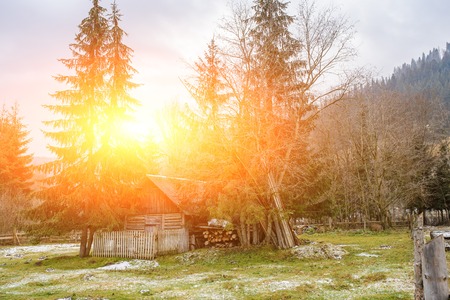 a View on the carpathian pinewood house.の写真素材