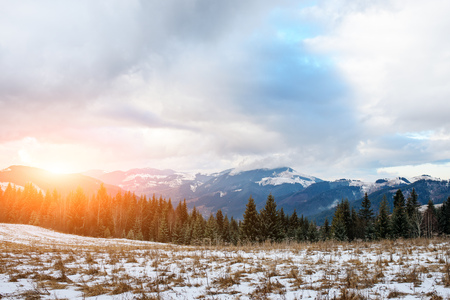 Scenic winter view on top of the Carpathian mountain.の写真素材