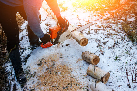 Process of sawing log by chainsaw in the winter .