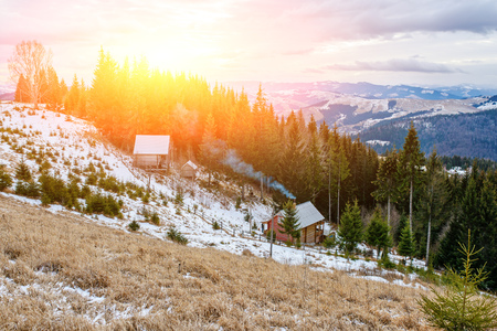 a View on the carpathian pinewood houses.の写真素材