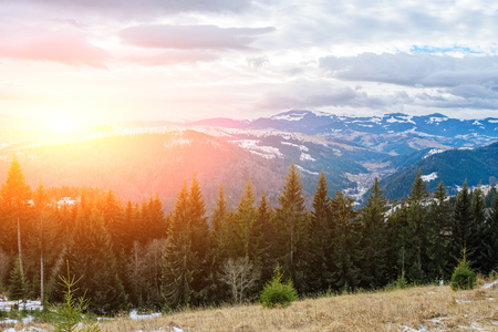 Scenic winter view on top of the Carpathian mountain.の写真素材