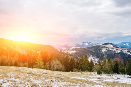 Scenic winter view on top of the Carpathian mountain.の写真素材