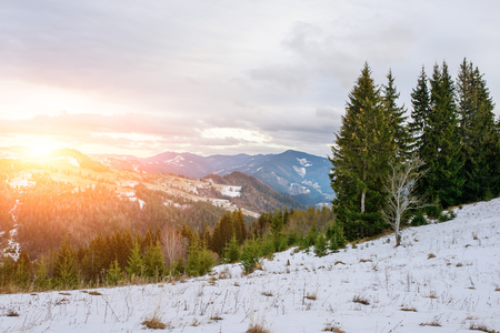 Scenic winter view on top of the Carpathian mountain.の写真素材