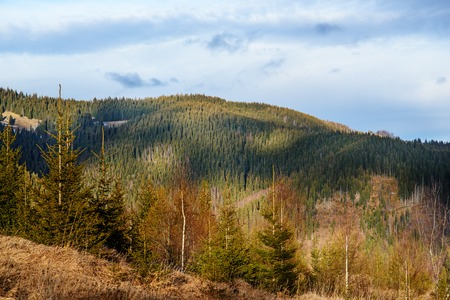 Scenic winter view on top of the Carpathian mountain.の写真素材