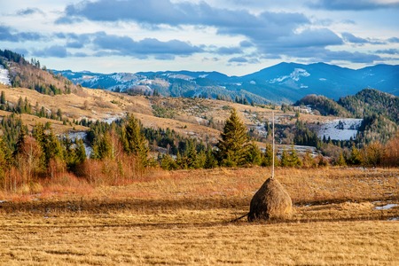 Scenic winter view on top of the Carpathian mountain.の写真素材