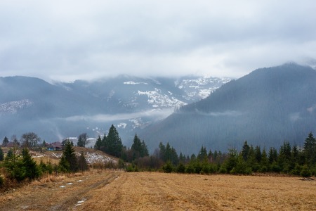 Beautiful view with morning fog in early spring, in Carpathian mountains,の写真素材