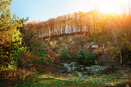 Landscape with blue sky and autumn wood with trees and brush upon grassland hillの写真素材