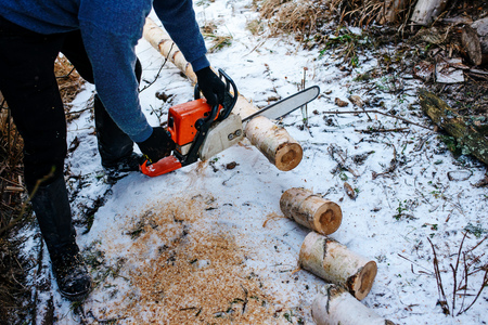 Process of sawing log by chainsaw in the winter .の写真素材