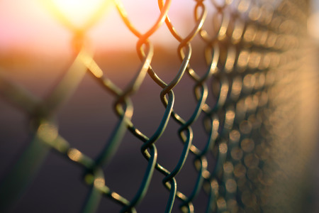 fence with metal grid in perspective, backgroundの写真素材