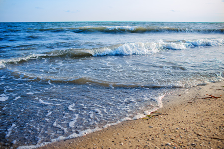 a wild beach and a pigeon sea water on a lovely sunny day.の写真素材