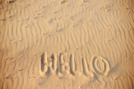 hello on the sand, on a wonderful sunny day.の写真素材