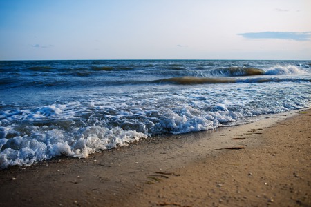 a wild beach and a pigeon sea water on a lovely sunny day.の写真素材
