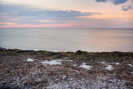 a wild beach and a pigeon sea water on a lovely sunny day.の写真素材