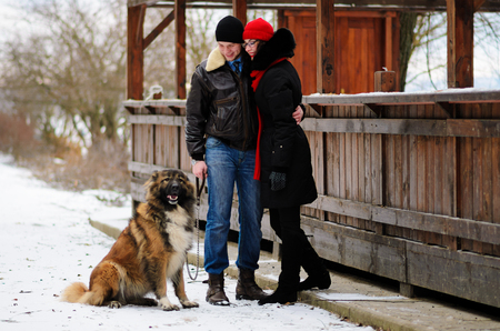 Happy couple with dogs in winter forest. Lovely moments outdoor holidays.の写真素材