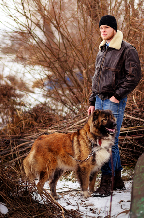 a young man in winter stands together with a Caucasian shepherd.の写真素材