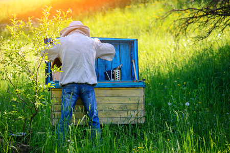 Apiary. The beekeeper works with bees near the hives.の写真素材