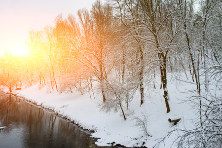Winter landscape with the river in frosty day.の写真素材