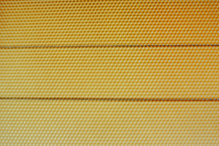 honey comb with honey as a background .の写真素材