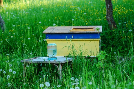 Polish landscape with beehives on ecological field.の写真素材