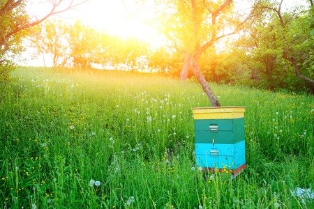 Polish landscape with beehives on ecological field.の写真素材
