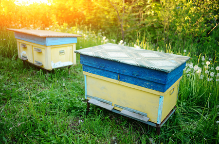 Polish landscape with beehives on ecological field.の写真素材