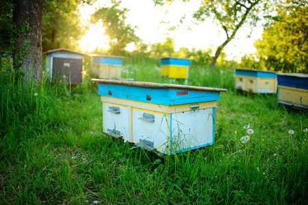 Polish landscape with beehives on ecological field.の写真素材
