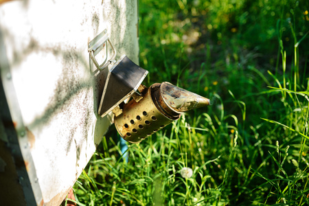 The beekeeper makes smoke. Bee with beehive and frames.の写真素材