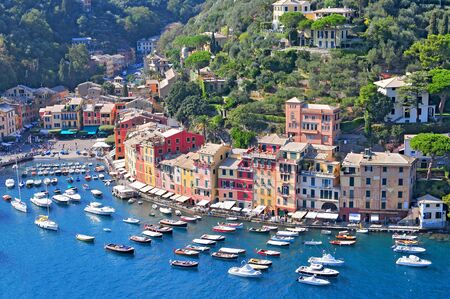 Liguria Portofino, view of harbor with moored boats and pastel colored houses lining the bay with trees on hills behind, Italy.の写真素材