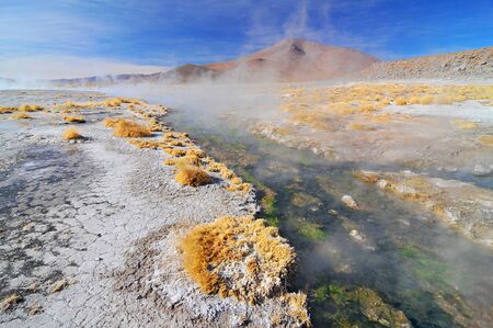 Hot springs in the Atacama desert, Bolivia.の写真素材