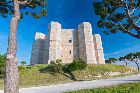 Castle of the Mountain (Castel del Monte) a 13th-century citadel and castle situated on a hill in Andria in the Apulia region of southeast Italy.のeditorial素材