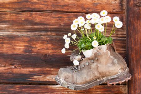 Old leather boot with flower inside on a wooden wallの写真素材