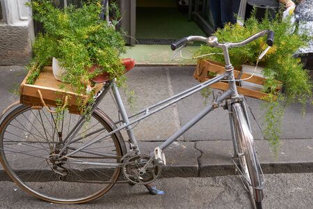 Old bike with plantsの写真素材