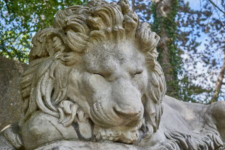 head of sleeping lion, statue of marbleの写真素材