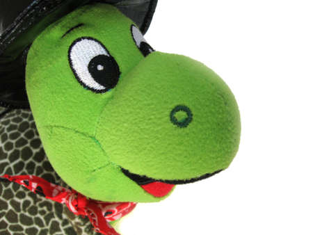 Green toy turtle smilingの写真素材