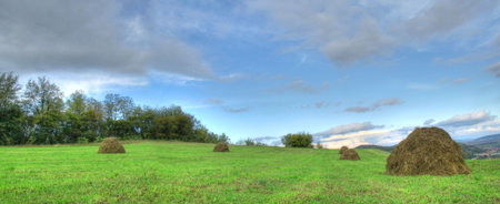Haycock panorama with forest and sky in the summer