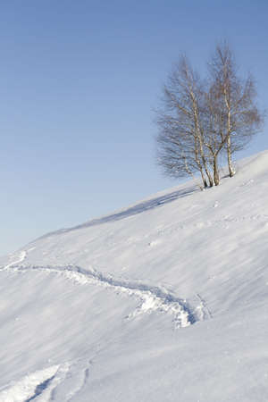 Beutiful winter lanscape with path in the snow and blue skyの写真素材